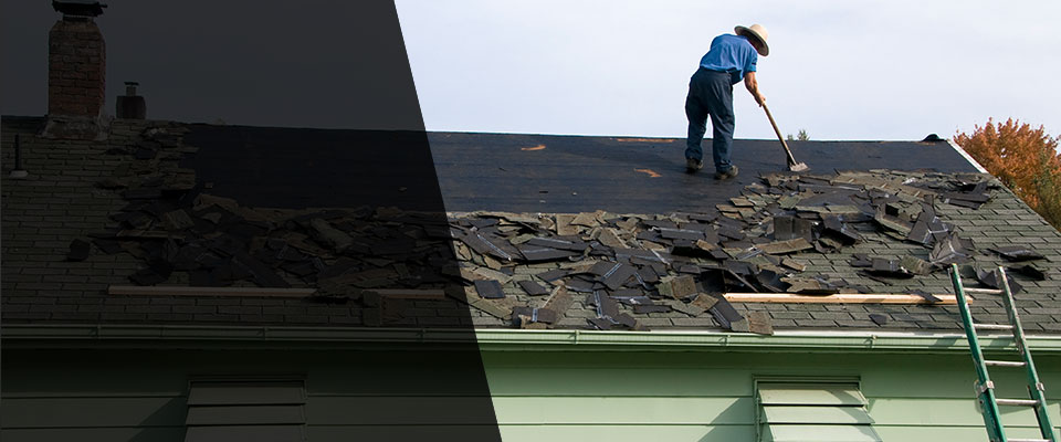 Pineland Roofing Contractors
